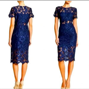 NSR Royal Blue Cap Sleeve Peekaboo Lace Midi Dress Size Medium